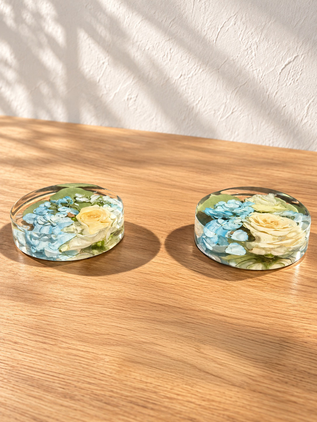 Set of Coasters