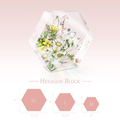 Hexagon Block