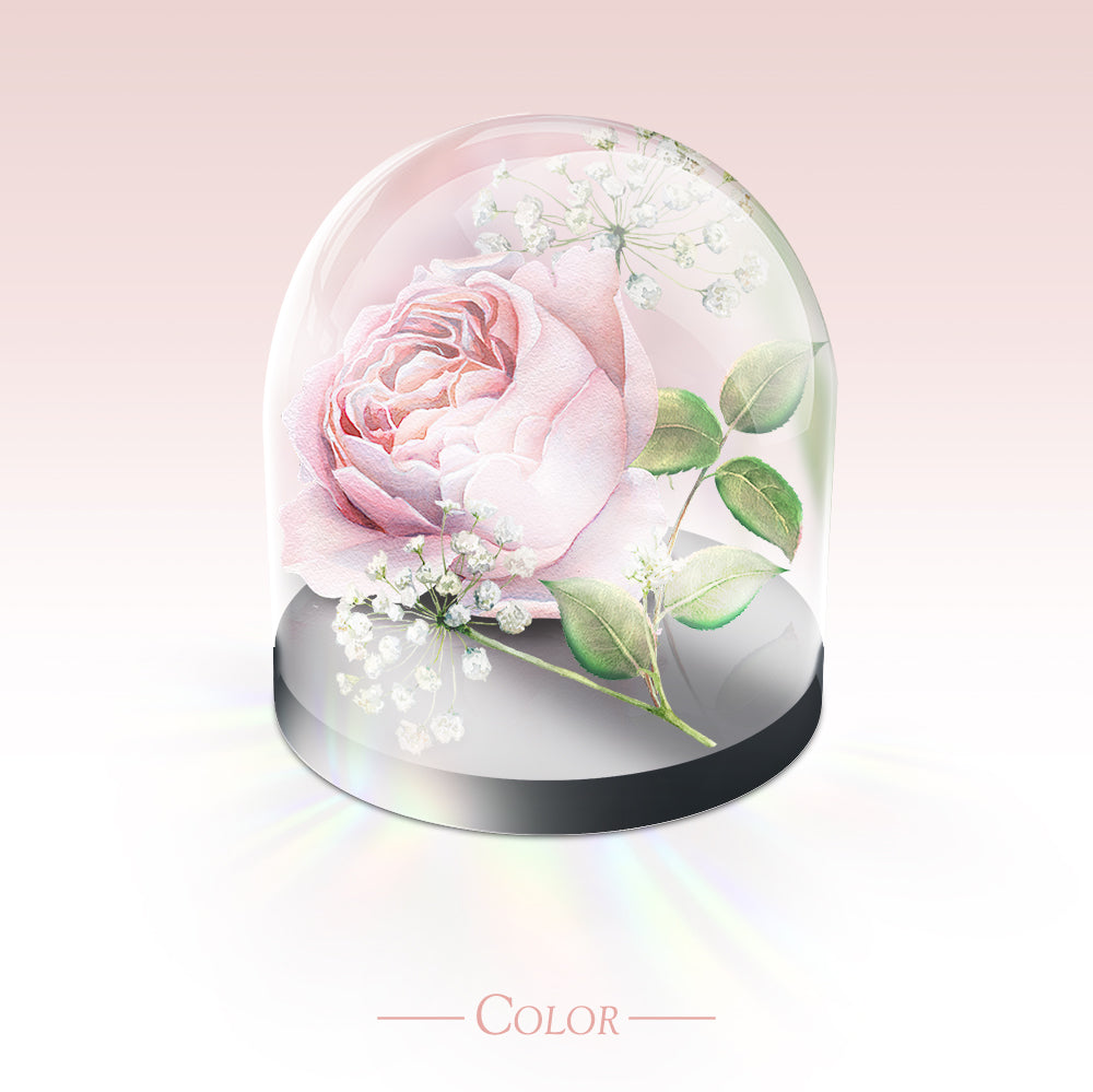 Small Dome
